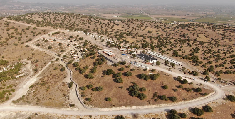 SOKAK HAYVANLARI İÇİN YAPILAN DEV PROJEDE SONA YAKLAŞILIYOR