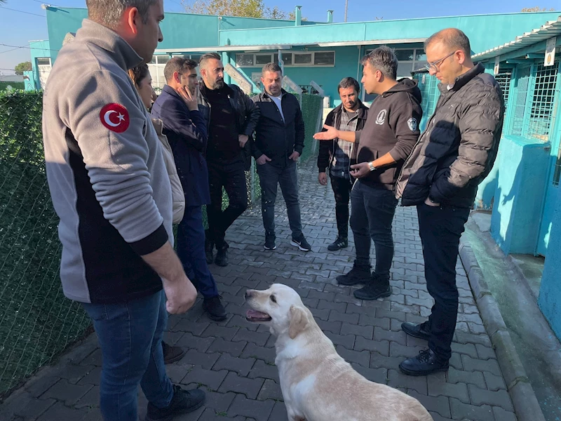 Koruma Altındaki Çocuklar Can Dostlarımızla Terapi Görecek