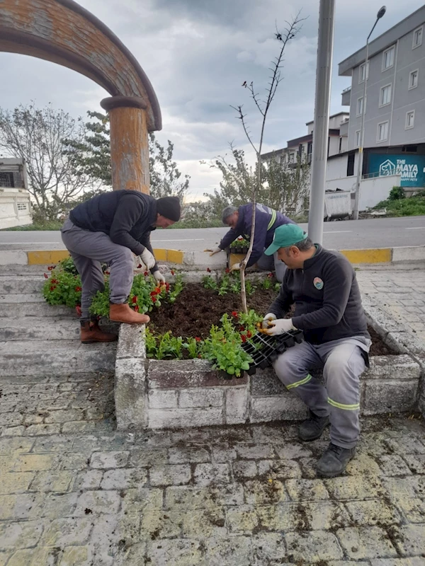 100 BİN MEVSİMLİK ÇİÇEK İLKADIM’A RENK KATACAK