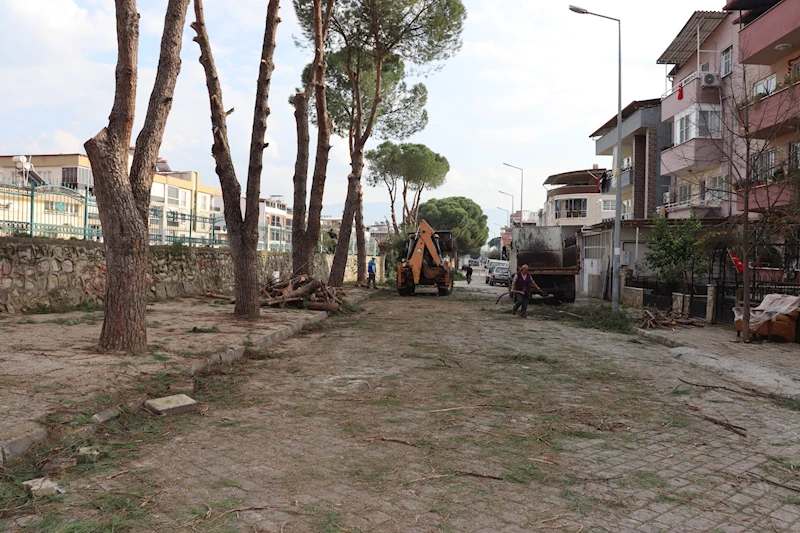 Nazilli kışa ferah giriyor