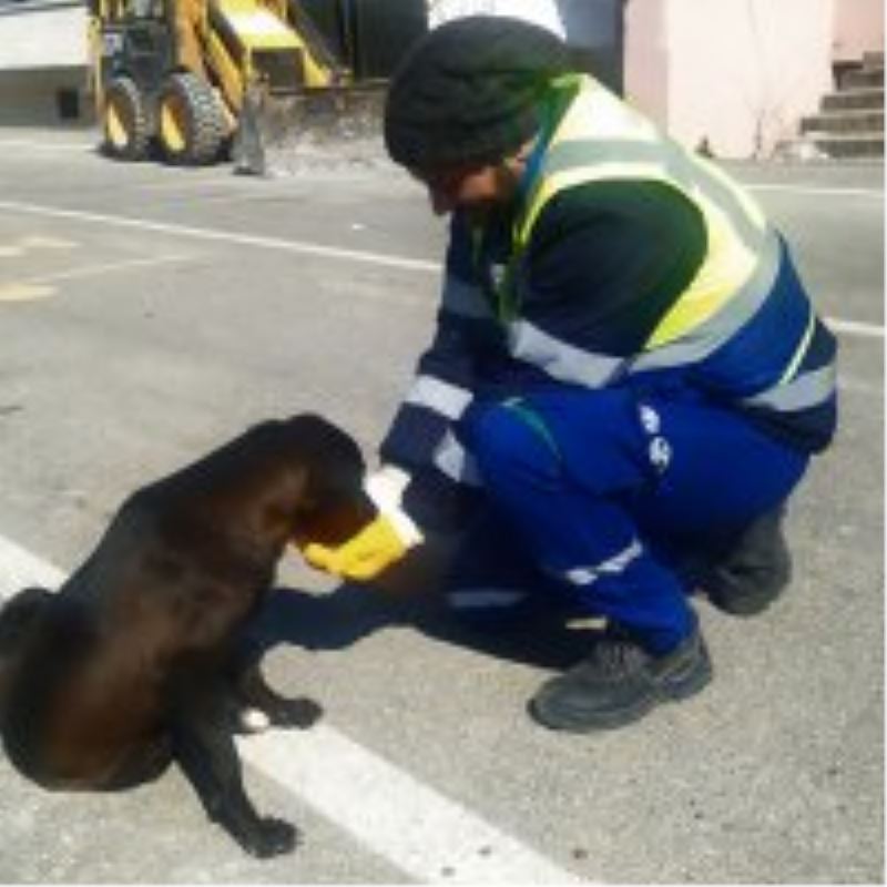 Nerede bir can varsa, orada Bursa var