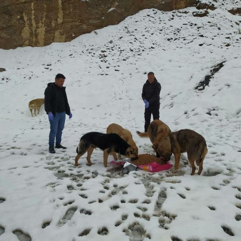Kar Kış Dinlemeden Can Dostlarımız İçin Görev Başındayız