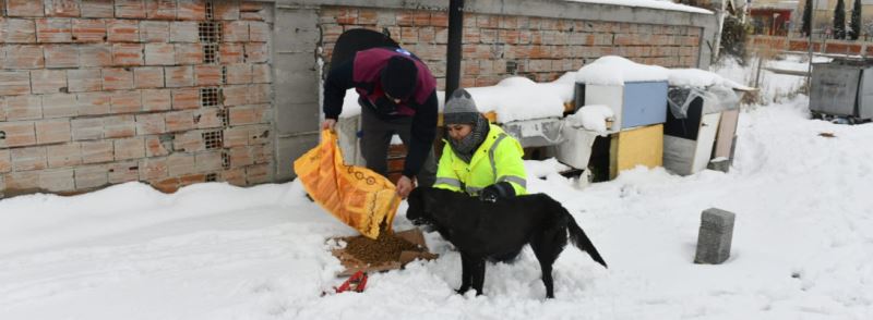 Soğuk Havada Can Dostlarımızı da Unutmuyoruz