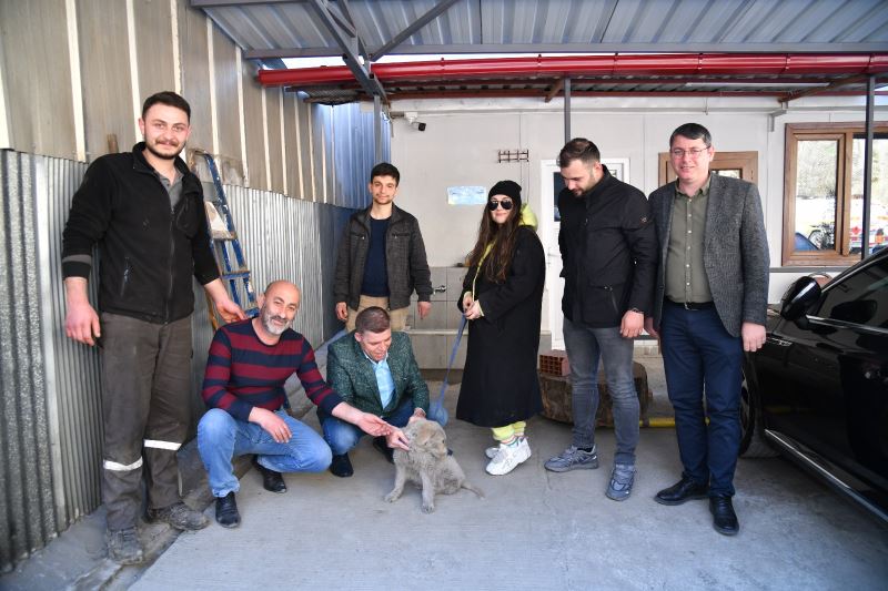 Enkaz altından çıkarılan köpek Trabzon’da yeni yuvasına kavuştu