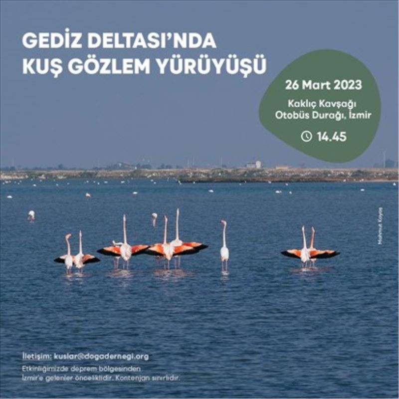 Gediz Deltası’nda kuş gözlem yürüyüşü