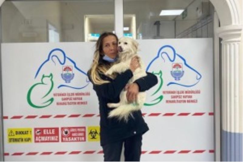 KEDİ VE KÖPEKLERİ SATIN ALMAYIN SAHİPLENİN