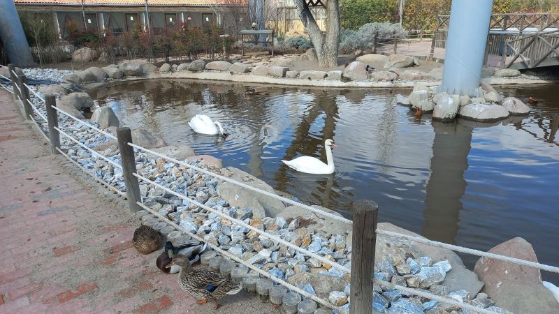 GÜZLER EVCİL HAYVAN PARKI’NA GİRİŞLER RAMAZAN AYI BOYUNCA ÜCRETSİZ