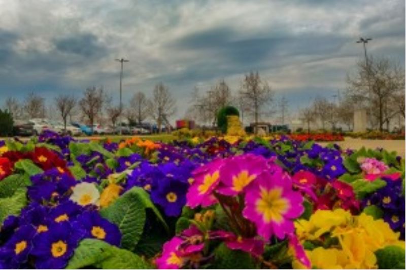 ÇİÇEK KENTİ YALOVA ÇİÇEKLERLE SÜSLENİYOR