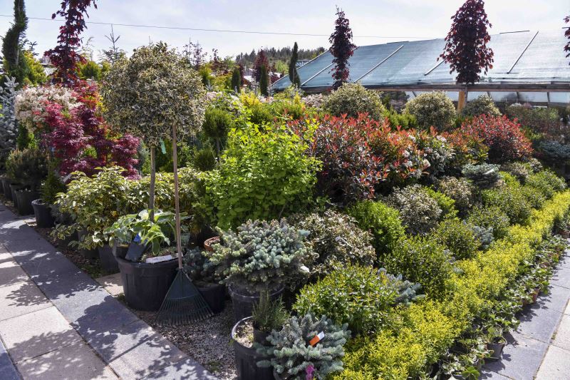 ANKARA BÜYÜKŞEHİR SELDE ZARAR GÖREN ESNAFIN YARALARINI SARDI