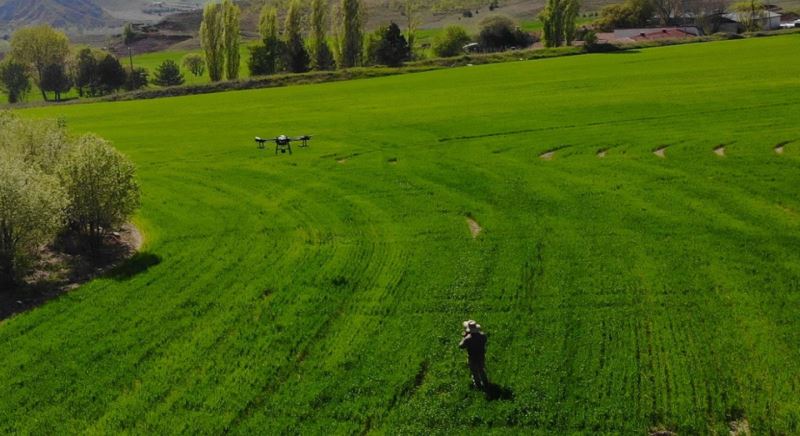 Belediyenin Buğday Tarlası Drone Yardımı ile Gübrelendi