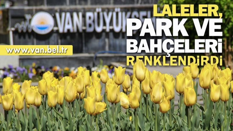 LALELER, PARK VE BAHÇELERİ RENKLENDİRDİ