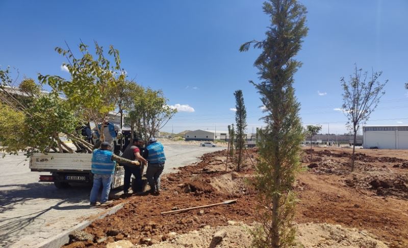 Yemyeşil Eyyübiye İçin Durmak Yok