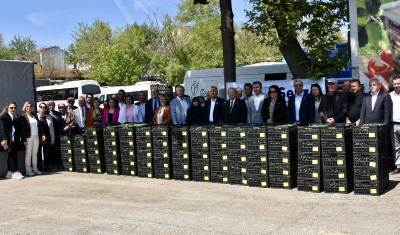 MALKARA VE HAYRABOLU İLÇELERİNDE ÜRETİCİYE DOMATES FİDESİ DESTEĞİ