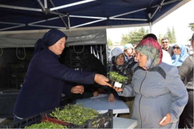 YUNUS’UN DİYARINDA FİDELERE BÜYÜK İLGİ