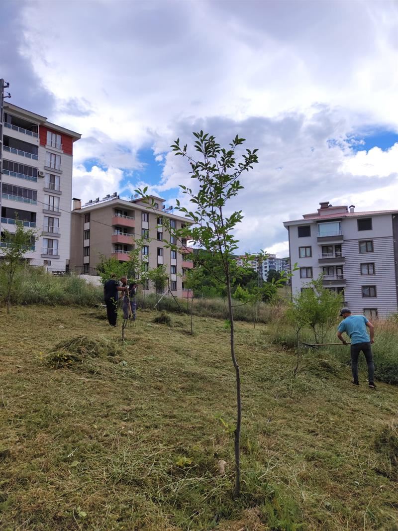 Park ve Bahçe Bakımları Aralıksız Devam Ediyor