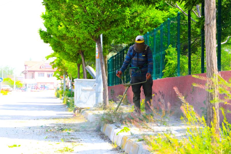 İlçemiz genelindeki parklar ve yeşil alanlarda çevre temizliği, çim ve yabani ot biçimi çalışmalarını ekiplerimiz tüm hızıyla sürdürüyor.