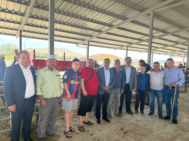 Canlı Hayvan Pazarımızda Bayram Telaşı...