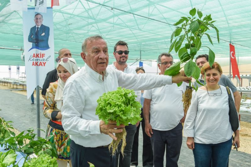 SEYHAN BELEDİYESİ YENİLİKÇİ TARIM UYGULAMALARINA ÖNCÜLÜK YAPIYOR