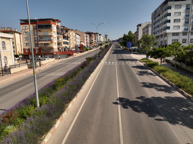ORTA REFÜJLERİ 2. KEZ SÜSLEYEN LAVANTALARDAN BU YIL DA SABUN, KOLONYA, MUM VE ODA PARFÜMÜ ÜRETİLECEK
