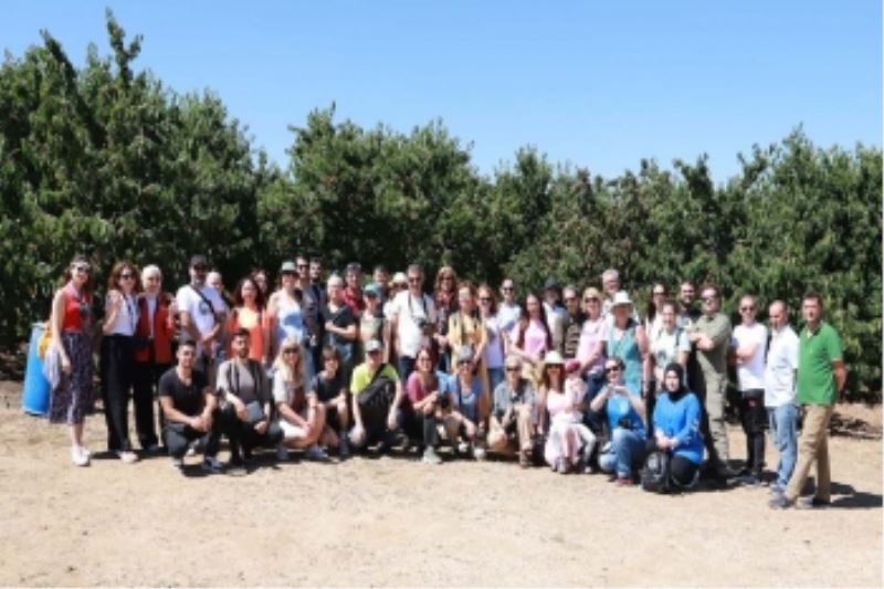 FOTOĞRAF TUTKUNLARI GÖKKUŞAĞI TEPESİ’NDE