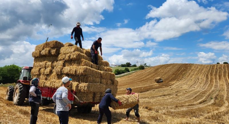 İZMİT BELEDİYESİ, BUĞDAY TARLASINDAN ELDE EDİLEN BALYALARI ÜRETİCİLERLE PAYLAŞACAK