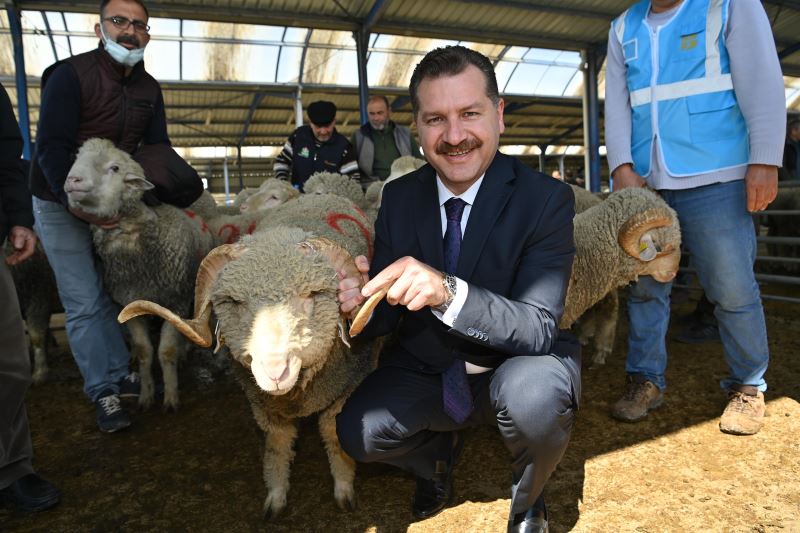 Büyükşehir, Bigadiç’in Yanında