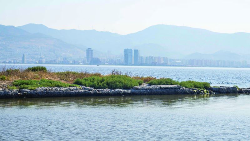 İzmir Körfezi’nde biyolojik çeşitlilik izleme çalışmaları başlıyor