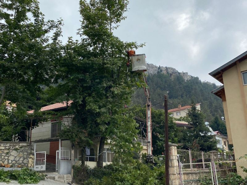 TOROSLAR BELEDİYESİ, YAYLALARDA AĞAÇ BUDAMA VE ÇEVRE DÜZENLEME ÇALIŞMALARINA DEVAM EDİYOR