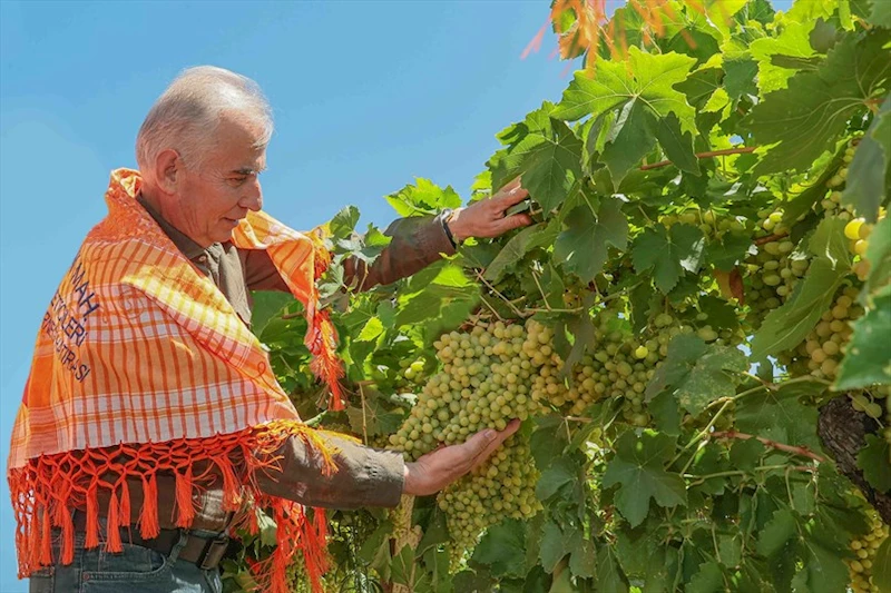 Büyükşehir’den 1700 çiftçiye toprak analiz desteği