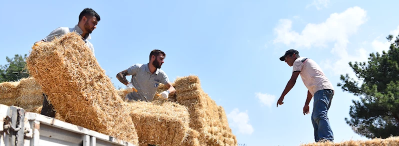 Saman Balyası Desteği Sürüyor