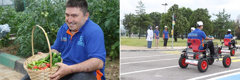 Cemil Meriç’te yaşam ve doğa dersi