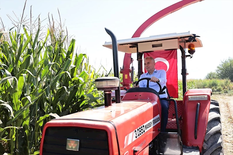 Başkan Zolan, silajlık mısır hasadı yaptı