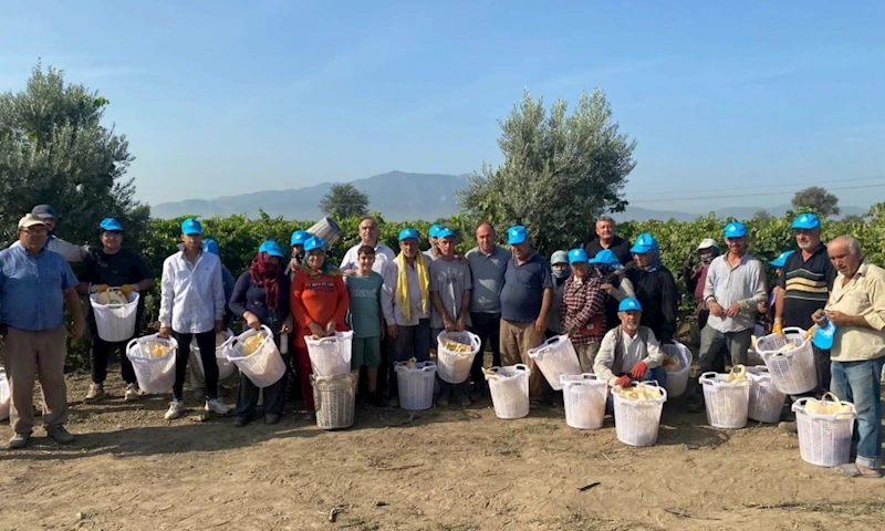Üzüm Hasadı Yapan Tarım İşçilerine Ekipman Desteği