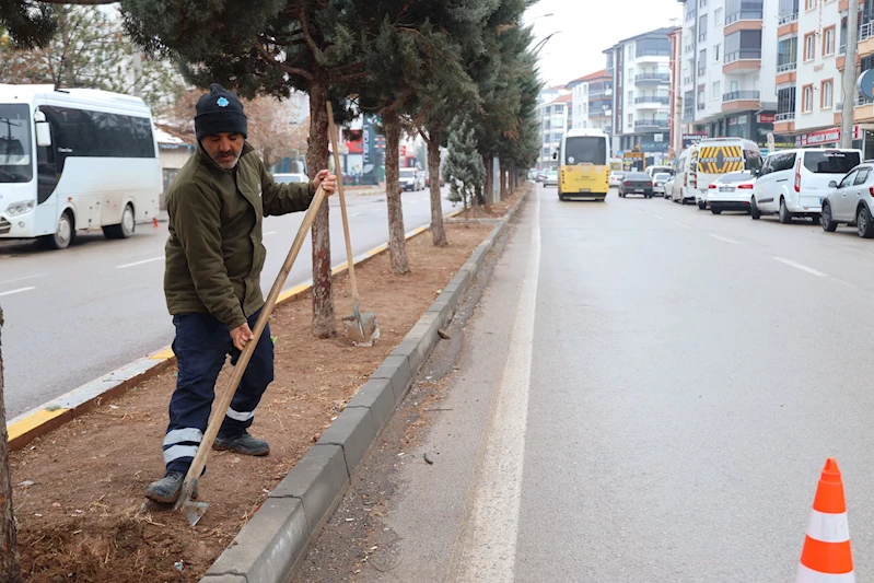 ACEM CADDESİ KURU PEYZAJLA GÜZELLEŞİYOR