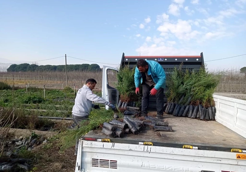 Turgutlu Mezarlıklarında Yoğun Çalışma