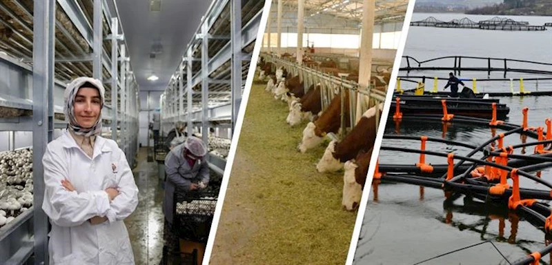 BAKAN YUMAKLI AÇIKLADI: IPARD III PROGRAMI 2024 YILI ÇAĞRI TAKVİMİ YAYIMLANDI