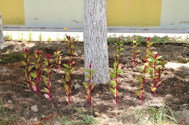 Okullarımıza Desteklerimiz Devam Ediyor !