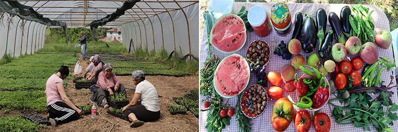 Büyükşehir’den % 75 hibeli tarım desteği