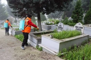 MEZARLIKLARDA YABANİ OTLA MÜCADELE DEVAM EDİYOR