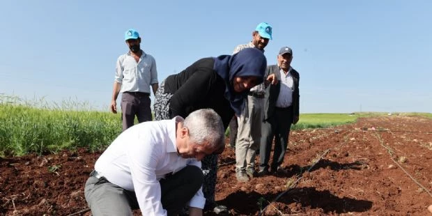 Başkanımız Çiftçilerle Birlikte Fide Dikti
