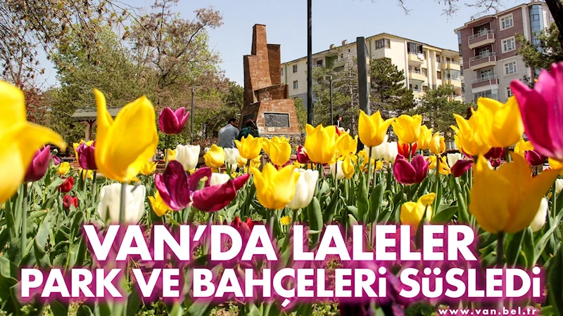 VAN’DA LALELER PARK VE BAHÇELERİ SÜSLEDİ