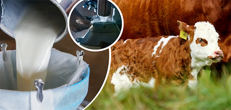 4 MİLYAR 435 MİLYON LİRALIK DESTEKLEME ÖDEMESİ BUGÜN HESAPLARA AKTARILIYOR