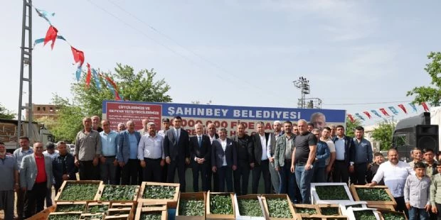 Belediyemizde Fide Dağıtımı Devam Ediyor