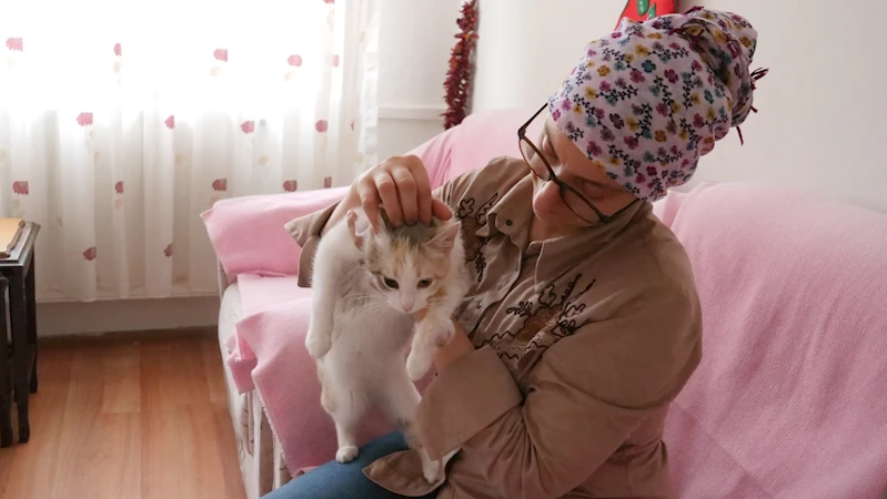 Başkan Kaya’nın “Patili dost sahiplenme” çağrısı amacına ulaşıyor