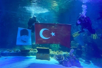 KENTPARK VE SUALTI DÜNYASINDA MUHTEŞEM GÖSTERİLER