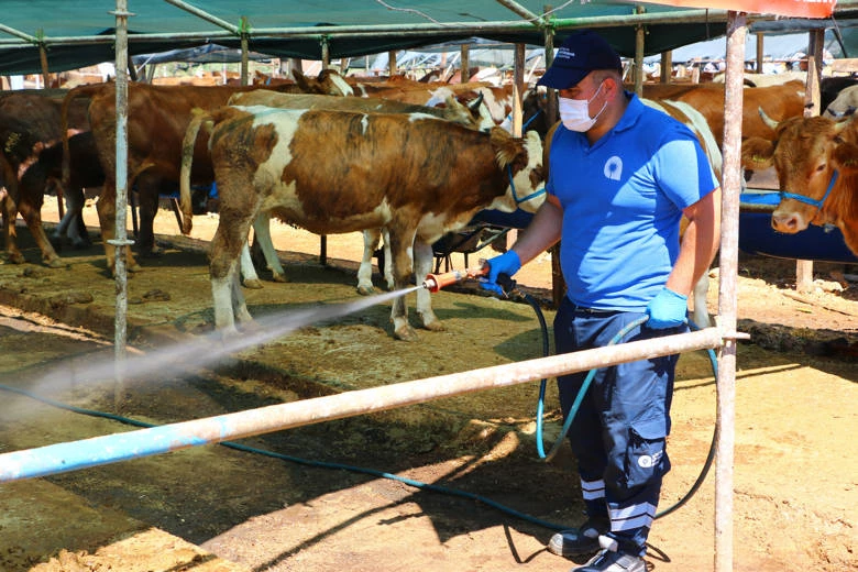 Büyükşehir Kurban Pazar Yerlerini İlaçlıyor