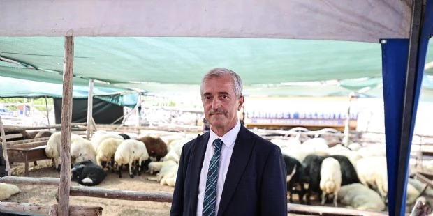 Başkanımız Kurban Fiyatlarını Düşürdü