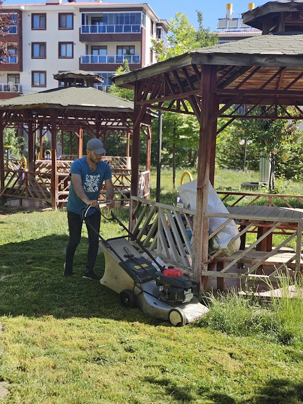 Belediyemizin Tüm Birimleri Şehrimiz İçin Seferber: Parklar, Kaldırımlar, Sokak Hayvanları ve Daha Fazlası İçin Yoğun Çalışmalarımız Sürüyor