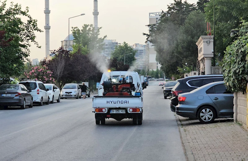 SİVRİSİNEKLE MÜCADELEDE İLAÇLAMA ÇALIŞMALARI YOĞUNLAŞTI