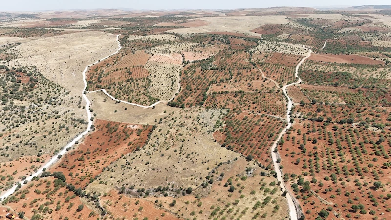 ÜNAL: “BABAMIZIN VASİYETİ YERİNE GELMİŞ OLACAK”